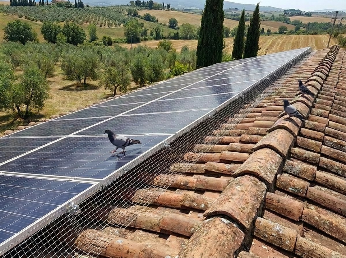 Rete antipiccione applicata sotto il perimetro di un impianto fotovoltaico